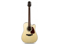 Takamine GD10CE-N Takamine GD10CE-N